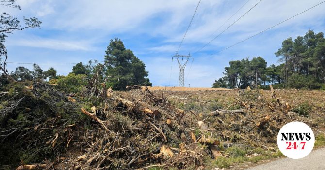 Δήμος Αθηναίων: Υποχρεωτικός καθαρισμός οικοπέδων έως 15 Ιουνίου για την αποφυγή πυρκαγιών