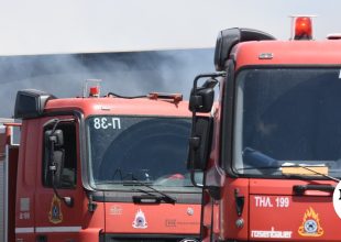 Φωτιά σε δασική έκταση στο Νεοχώρι Πηλίου