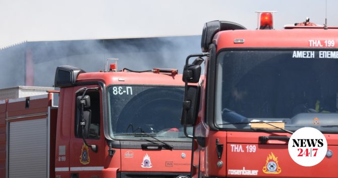 Φωτιά σε δασική έκταση στο Νεοχώρι Πηλίου