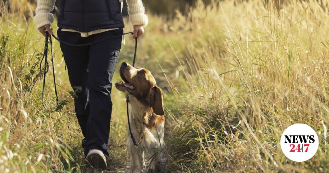 Θεσσαλονίκη: Εξαγοράσιμη ποινή 15 μηνών και πρόστιμο 5.000 ευρώ σε 46χρονο για πώληση σκύλου