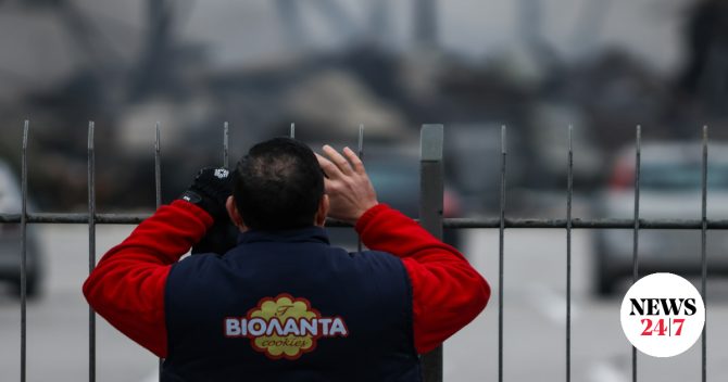 Βιολάντα: Ποινικές διώξεις κατά δύο στελεχών του εργοστασίου