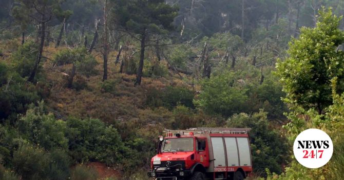 Οριοθετήθηκε η φωτιά στα Καλύβια Αττικής – Κάηκαν 25 στρέμματα γης