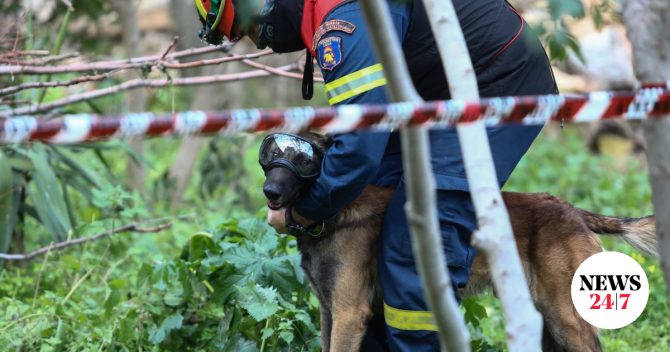 Κοζάνη: Στον 78χρονο που αγνοείτο ανήκει η σορός που εντοπίστηκε σε βουνό