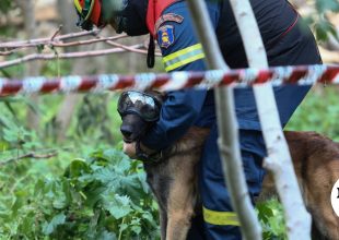 Χανιά: Ανθρώπινος σκελετός εντοπίστηκε στον Τζιτζιφέ Αποκορώνου