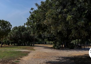 Άστεγος έβαλε φωτιά εντός του αρχαιολογικού χώρου της Ακαδημίας Πλάτωνος