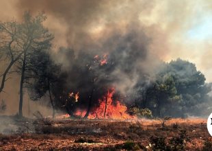 Τι να προσέχουν οι πολίτες για τις πυρκαγιές – Οι ποινές για τους παραβάτες