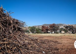 Ακαθάριστα οικόπεδα: Πότε λήγει η προθεσμία – Η διαδικασία και τα πρόστιμα