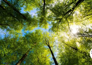 Natura 2000: Νέα Ειδική Περιβαλλοντική Μελέτη για Ήπειρο και Δυτική Μακεδονία