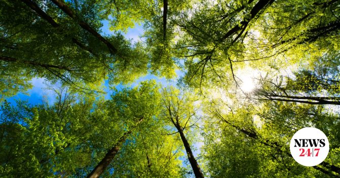 Natura 2000: Νέα Ειδική Περιβαλλοντική Μελέτη για Ήπειρο και Δυτική Μακεδονία