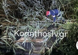 Τραγωδία στον Φενεό Κορινθίας: Νεκρός σε τροχαίο Διευθυντής δημοτικού σχολείου