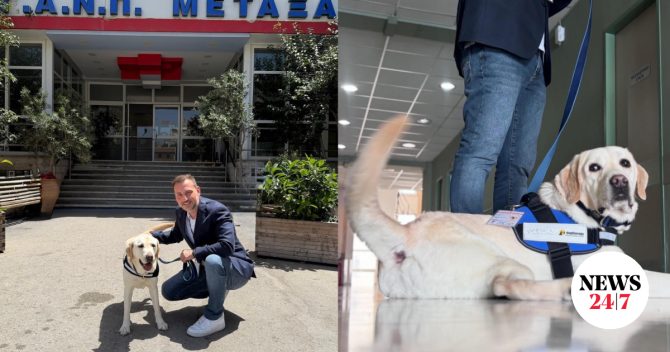 “Έπιασε δουλειά” στο νοσοκομείο Μεταξά ο πρώτος σκύλος θεραπείας