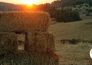 Κρήτη: Στην Ευρωπαϊκή Εισαγγελία οι 22 κατηγορούμενοι για τις παράνομες επιδοτήσεις του ΟΠΕΚΕΠΕ