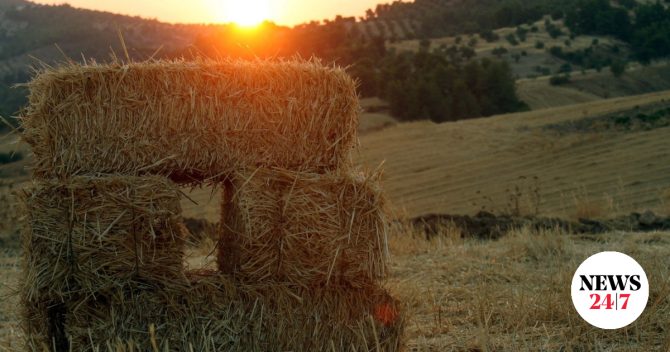 Κρήτη: Στην Ευρωπαϊκή Εισαγγελία οι 22 κατηγορούμενοι για τις παράνομες επιδοτήσεις του ΟΠΕΚΕΠΕ