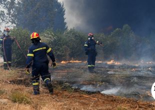 Τέσσερις συλλήψεις για φωτιές από αμέλεια σε Χαλκιδική, Θεσσαλονίκη, Βοιωτία, Λάρισα