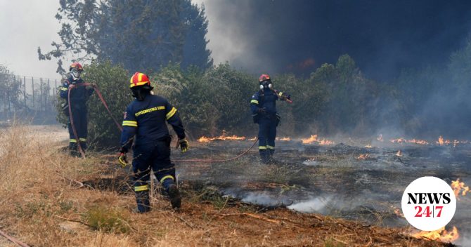 Φωτιά στην Πέτρα Βοιωτίας – Μήνυμα του 112 για εκκένωση