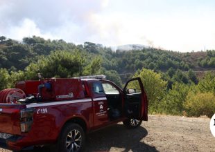 Φωτιά στη Ροδόπη έξω από τον οικισμό Παλαιά Κρωβύλη