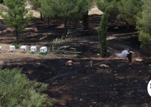 Αθώος ο μελισσοκόμος που συνελήφθη για την φωτιά στο Άλσος Βεΐκου