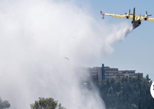 Φωτιά στον Ορχομενό
