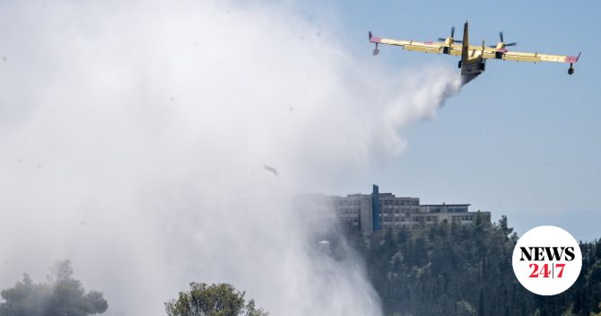Φωτιά στον Ορχομενό