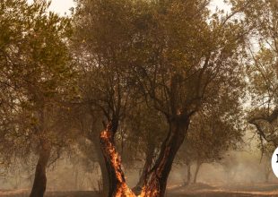 Πυρκαγιές: Στο επίπεδο 4 θα βρίσκεται και την Κυριακή