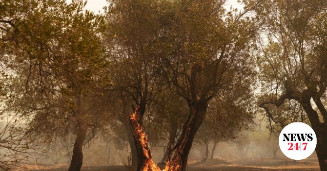 Πυρκαγιές: Στο επίπεδο 4 θα βρίσκεται και την Κυριακή