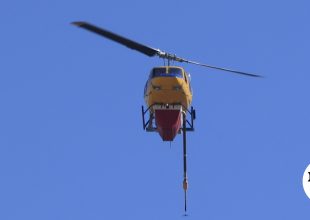 Φωτιά στη Βρία Κατερίνης