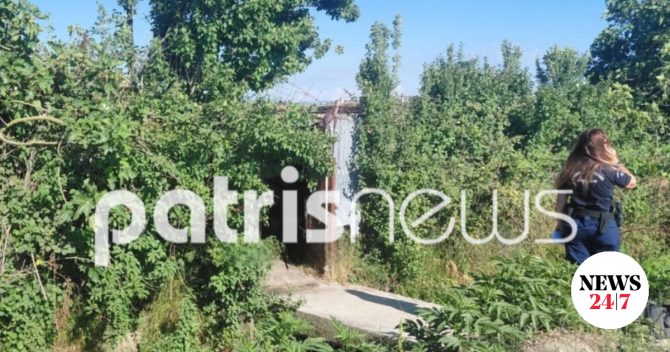 Γαστούνη: 57χρονος βρέθηκε νεκρός σε ποιμνιοστάσιο