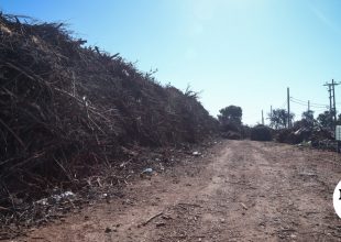 Ακαθάριστα οικόπεδα: Ενεργοποιούνται οι ελεγκτικοί μηχανισμοί