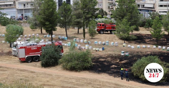 Συνελήφθη 45χρονος μελισσοκόμος για τη φωτιά στο Άλσος Βεΐκου