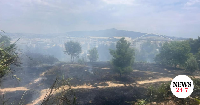 Άλσος Βεΐκου: Από μελίσσια φαίνεται να ξεκίνησε η φωτιά