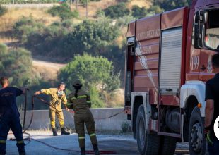 Σε ύφεση η φωτιά στο Ακραίφνιο Βοιωτίας – Σοβαρές καταστροφές και δεκάδες νεκρά ζώα