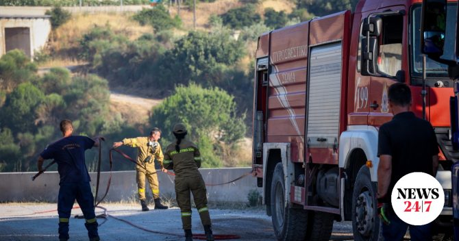 Σε ύφεση η φωτιά στο Ακραίφνιο Βοιωτίας – Σοβαρές καταστροφές και δεκάδες νεκρά ζώα