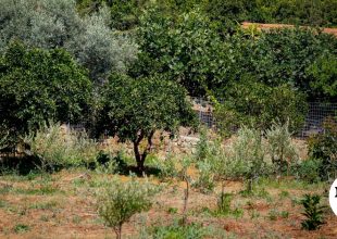 Γυναικοκτονία στα Χανιά: “Τσακωθήκαμε και την τραυμάτισα με μαχαίρι”