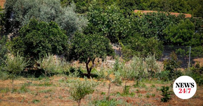 Γυναικοκτονία στα Χανιά: “Τσακωθήκαμε και την τραυμάτισα με μαχαίρι”