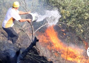 Χίος: Σύλληψη άνδρα για πυρκαγιά από αμέλεια