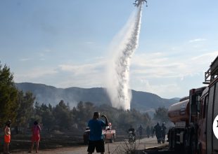 Εμπρησμός από αμέλεια η φωτιά στη Φθιώτιδα