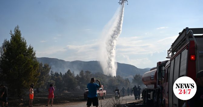 Εμπρησμός από αμέλεια η φωτιά στη Φθιώτιδα