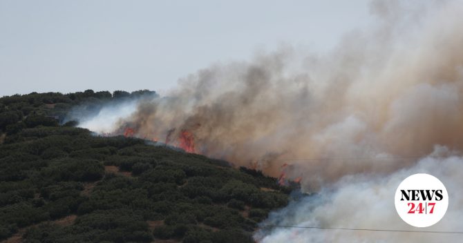 Θεσσαλονίκη: Συνελήφθη 51χρονος για τη φωτιά στο Δερβένι