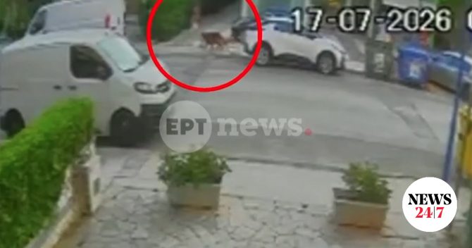 Βριλήσσια: Πώς έγινε η άγρια επίθεση του σκύλου στον 66χρονο