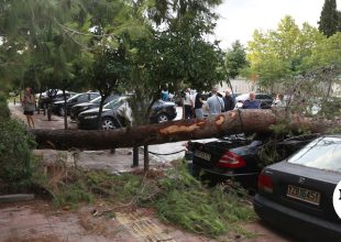 Κακοκαιρία: Μπαράζ από πτώσεις δέντρων – 152 κλήσεις έλαβε η Πυροσβεστική μόνο στην Αττική