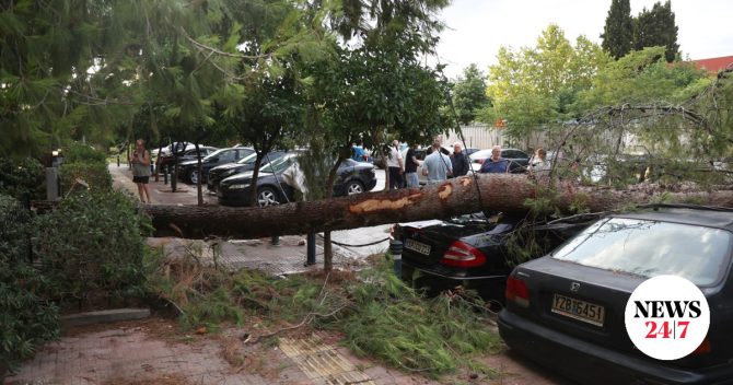 Κακοκαιρία: Μπαράζ από πτώσεις δέντρων – 152 κλήσεις έλαβε η Πυροσβεστική μόνο στην Αττική