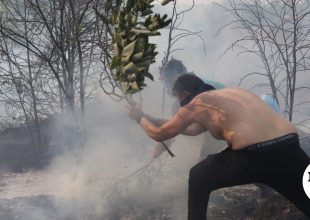 Φωτιά σε δασική έκταση στην Κινέτα
