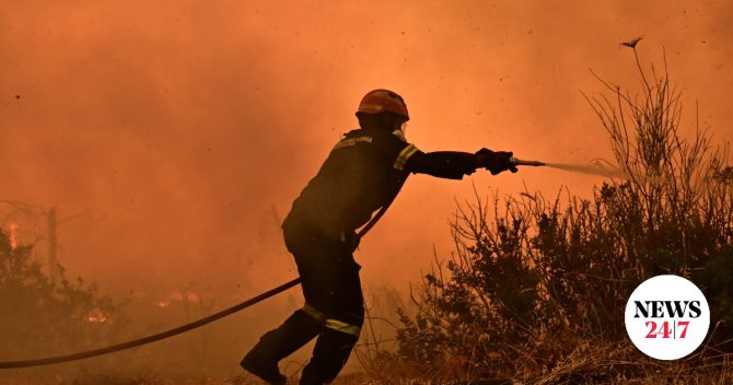 Φωτιά σε δασική έκταση στο Πήλιο – Κοντά στο Νεοχώρι οι φλόγες