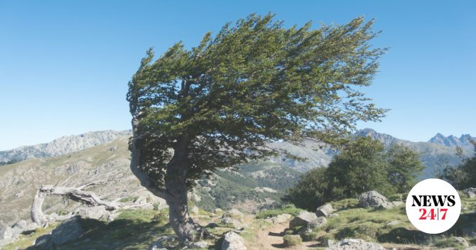 Θυελλώδεις άνεμοι στην Αττική – Έφτασαν τα 150χλμ./ώρα στην Πεντέλη