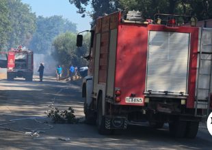 Φωτιά στους Λογγάδες Ιωαννίνων