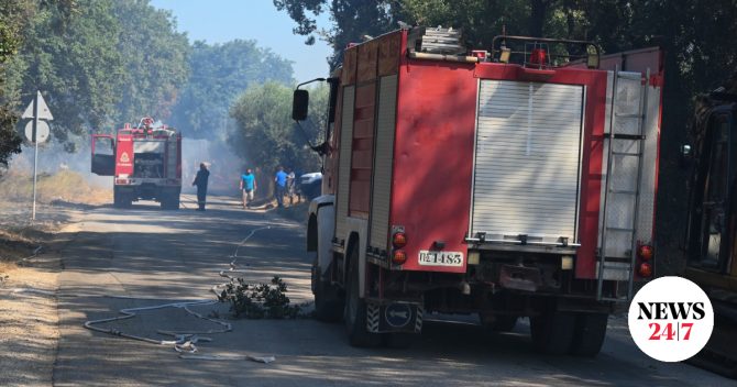 Φωτιά στους Λογγάδες Ιωαννίνων