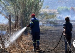 Μεσσηνία: “Αν μάθουν ότι κατέθεσα θα με σκοτώσουν” – Συγκλονίζουν οι μαρτυρίες για το κύκλωμα των εμπρηστών