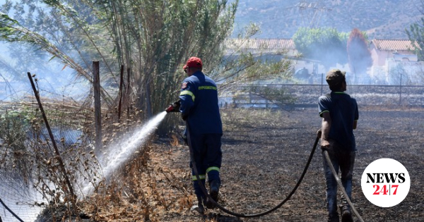 Μεσσηνία: “Αν μάθουν ότι κατέθεσα θα με σκοτώσουν” – Συγκλονίζουν οι μαρτυρίες για το κύκλωμα των εμπρηστών