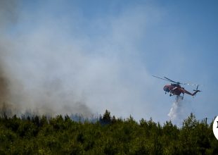 Χωρίς ενεργό μέτωπο η φωτιά στα Βασιλικά Θεσσαλονίκης