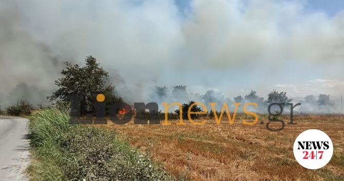 Οινούσσα Σερρών: Από ΙΧ φέρεται να ξεκίνησε